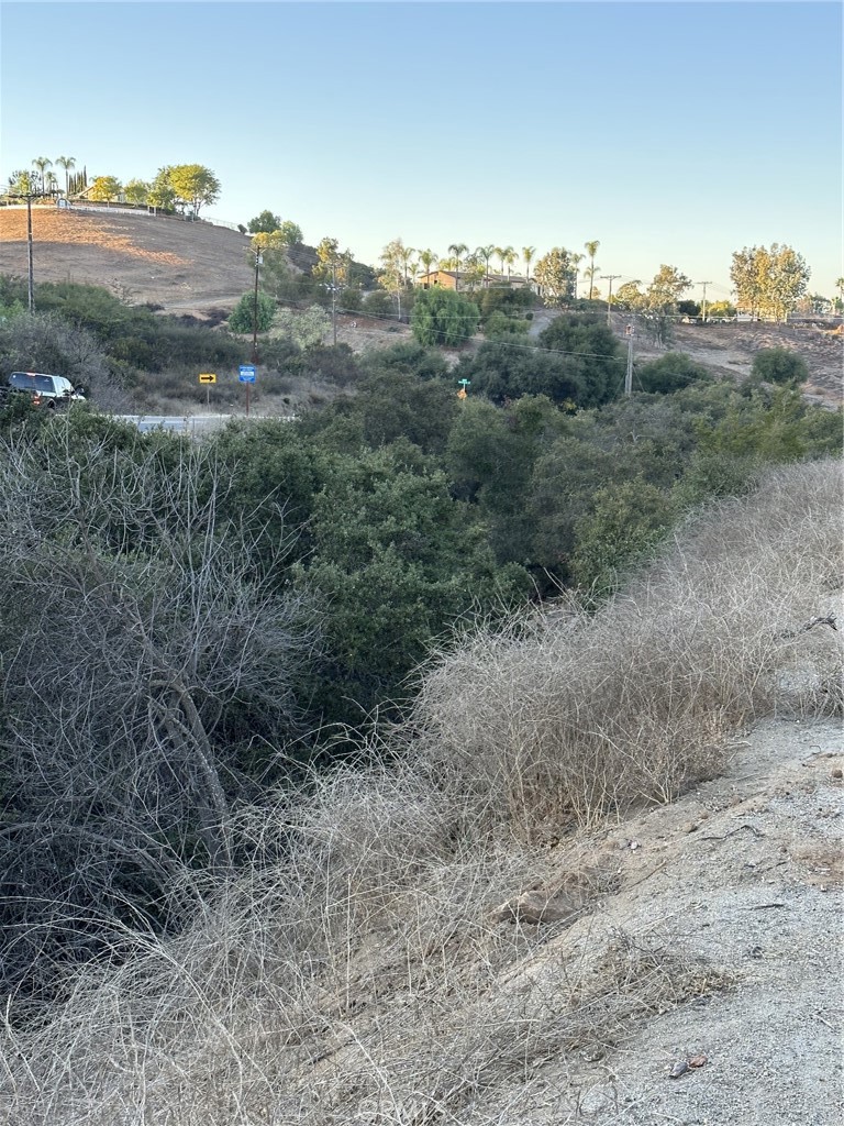 29197 Lilac Road Valley Center, CA 92082 - Photo 2 of 5 a view of a dry field