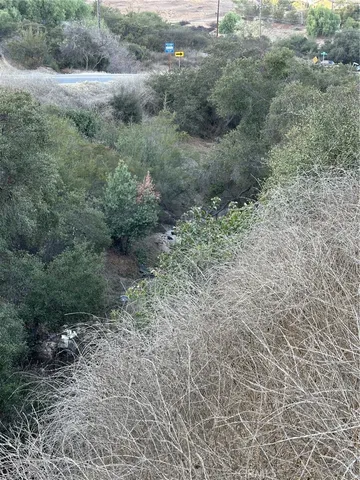 a view of a forest with trees