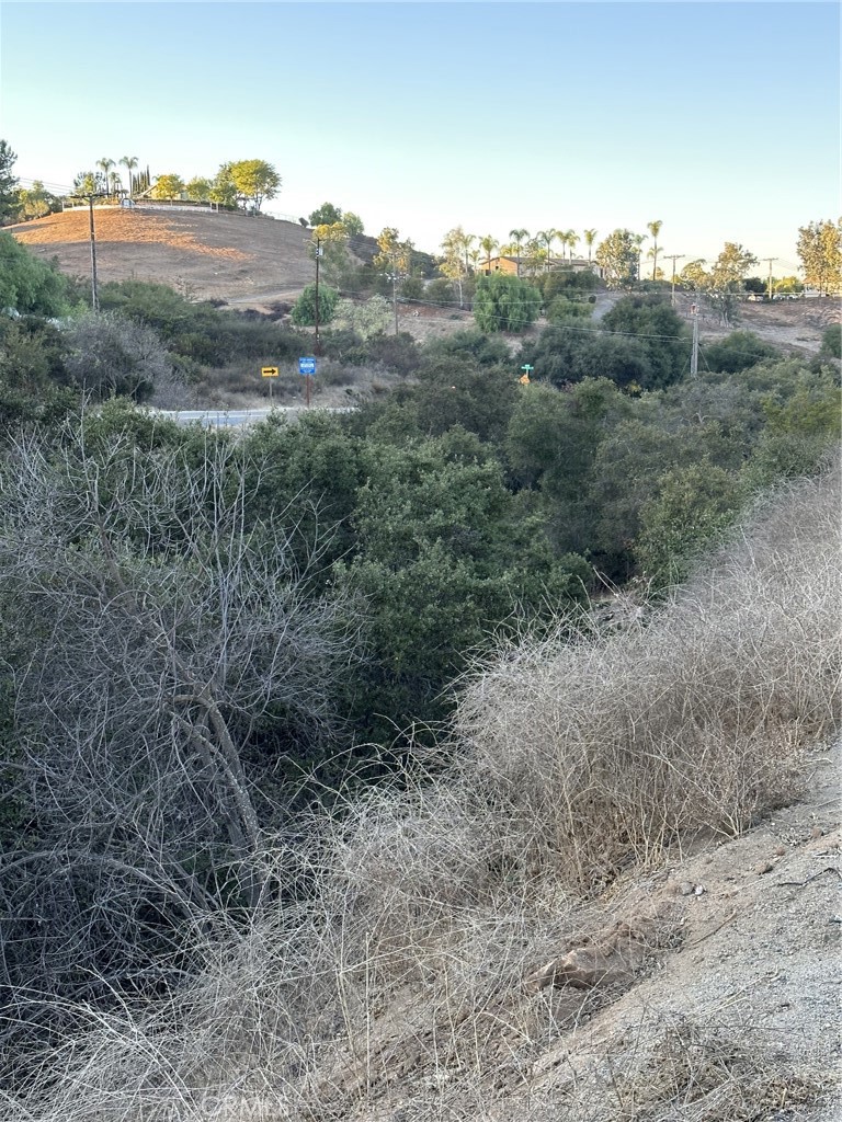 29197 Lilac Road Valley Center, CA 92082 - Photo 4 of 5 a view of a dry field