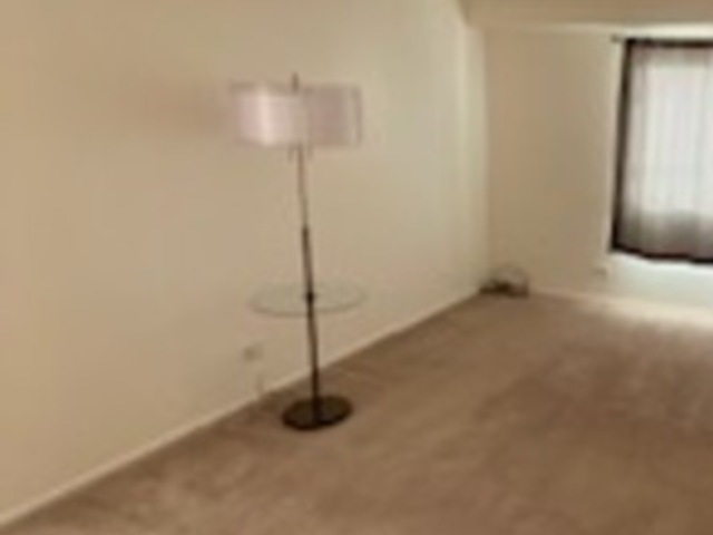 1104 Springinsguth Road, Unit 2D Schaumburg, IL 60193 - Photo 13 of 24