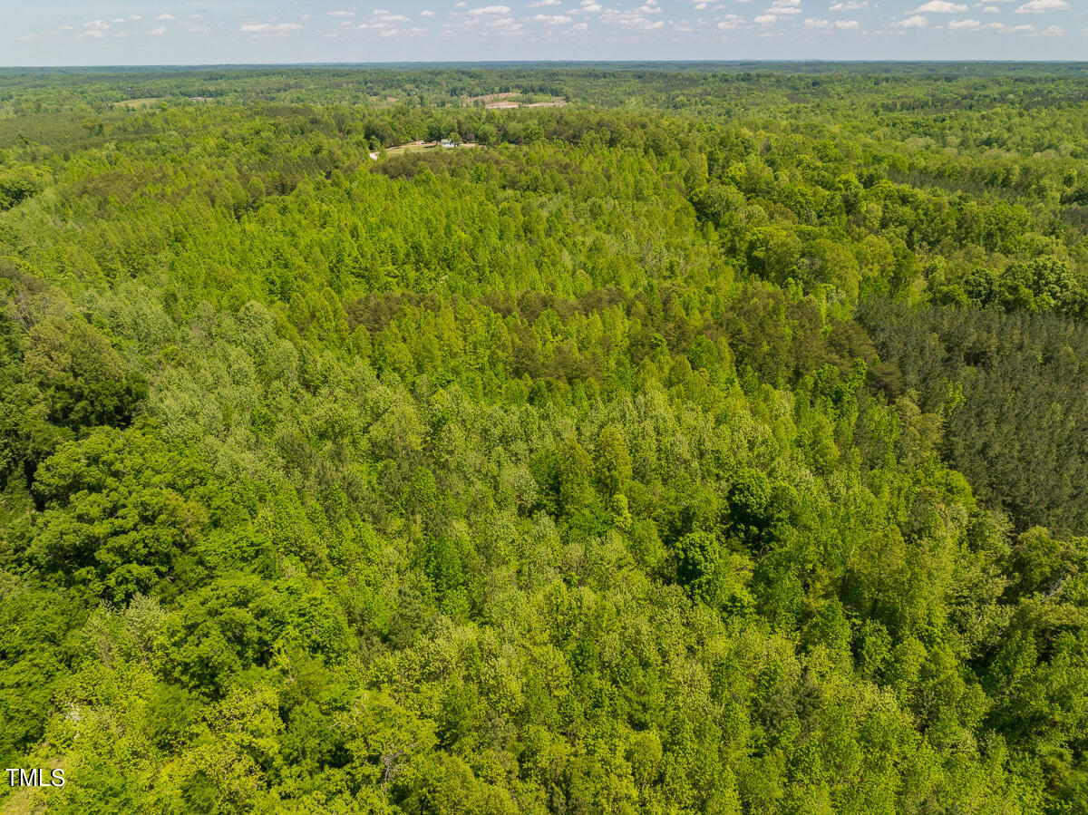 Lot-1-00 Wilson Road Providence, NC 27315 - Photo 42 of 43 Caswell Co. NC -Wilsons Ridge-Lot 1-40