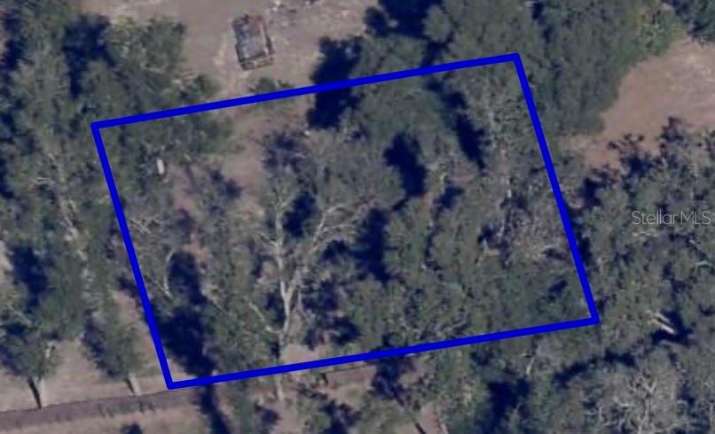 1621 Clarcona Road Apopka, FL 32703 - Photo 2 of 5
