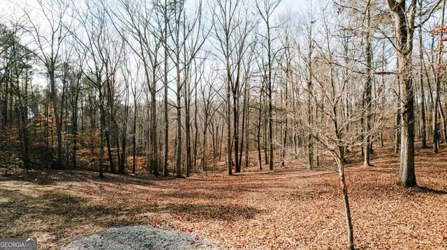 a picture of city view