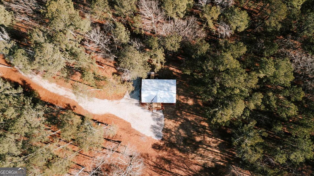 72 Frank Mathews Road Lexington, GA 30648 - Photo 34 of 36 a view of a tree with a yard