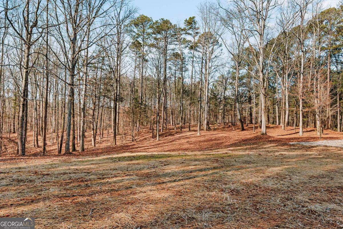 72 Frank Mathews Road Lexington, GA 30648 - Photo 7 of 36 a view of road with trees