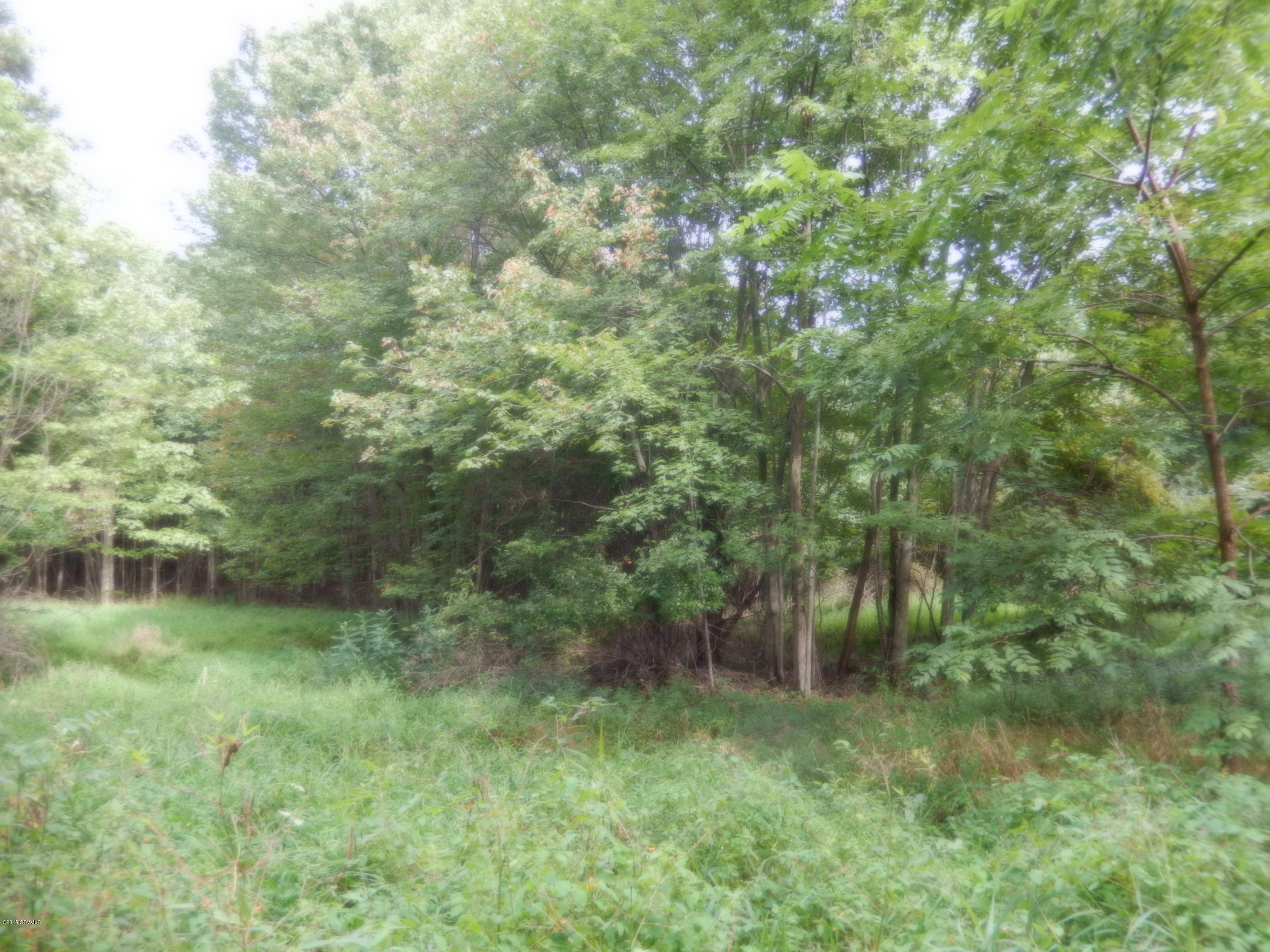 North Bendertown Road Stillwater, PA 17878 - Photo 5 of 6 Gallery Image 5