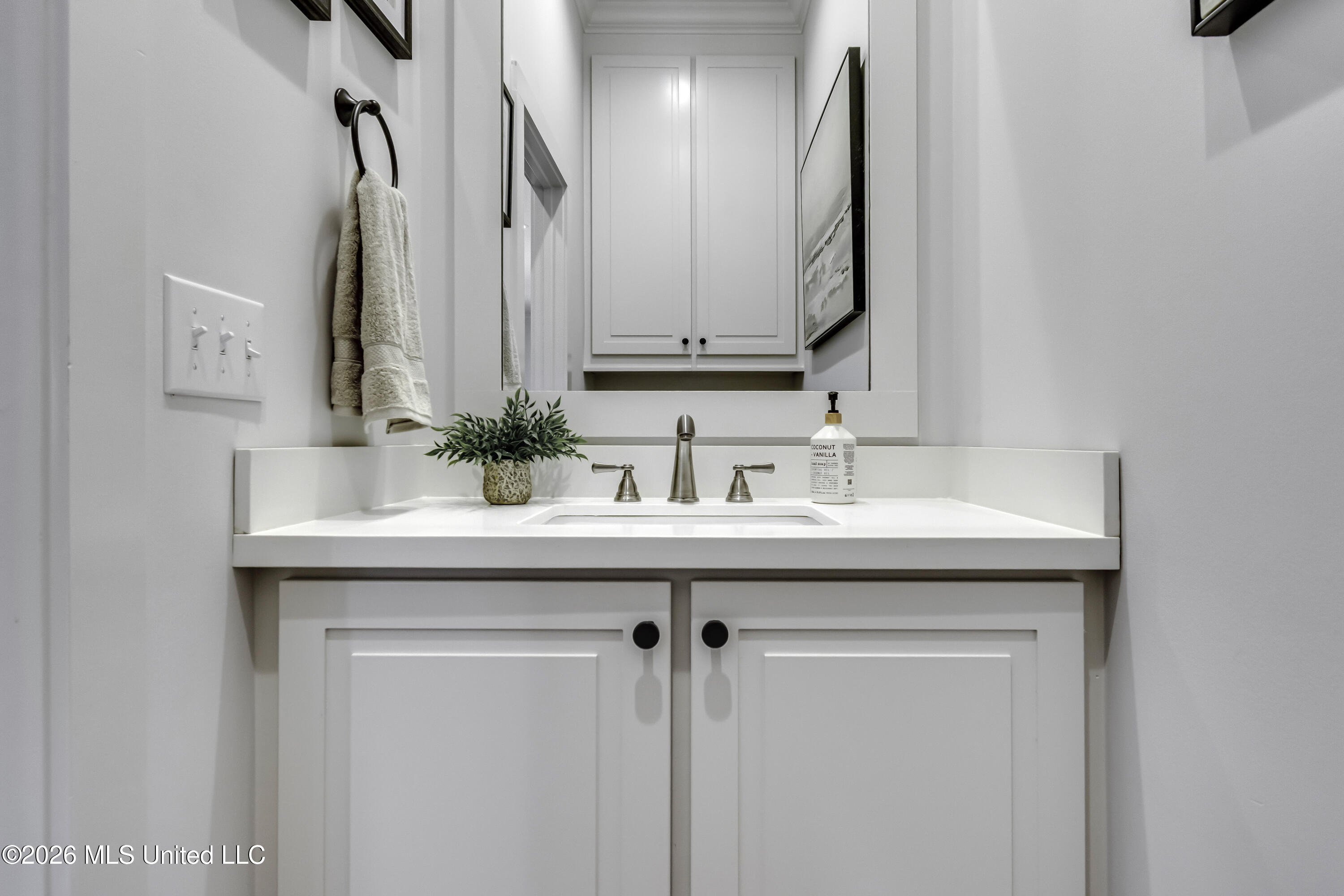 457 Crossvine Place Madison, MS 39110 - Photo 21 of 50 457 crossvine Place--41