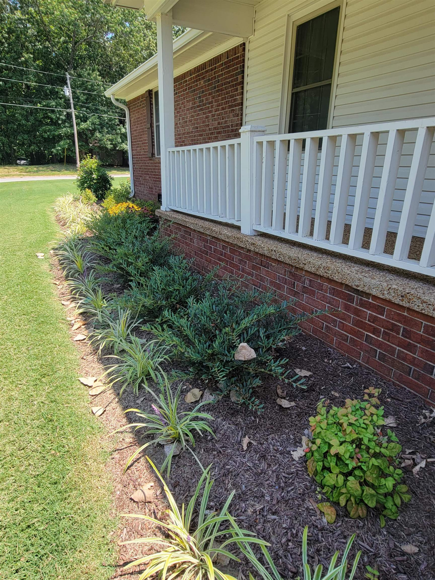 48 Windy Hill Road Jackson, TN 38305 - Photo 19 of 20 a view of a backyard with plants