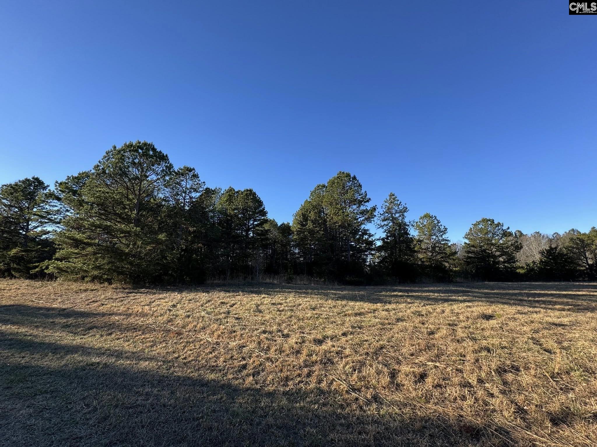 150 Floyd Lanford Road Woodruff, SC 29388 - Photo 19 of 65