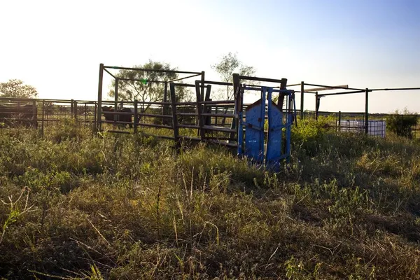 a view of backyard with green space