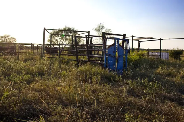 a view of backyard with green space