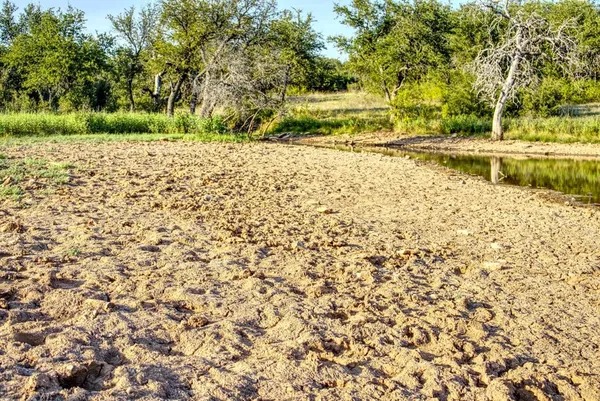 a view of a lake in middle of forest