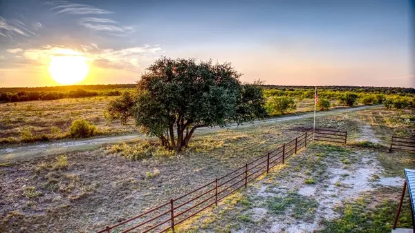 a view of a yard with plants and trees