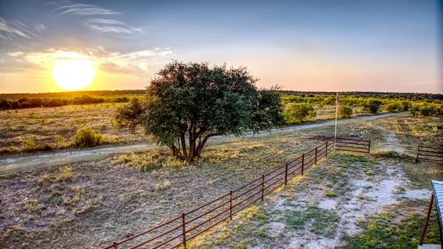 a view of a yard with plants and trees