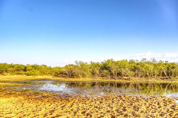 a view of a yard with wooden fence