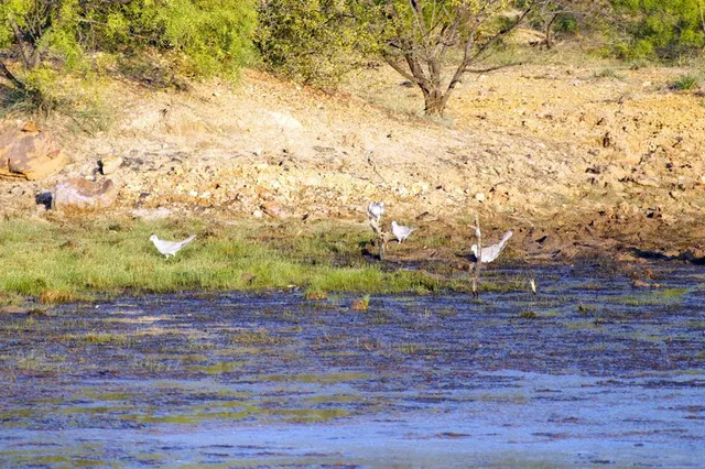 a view of a lake with houses