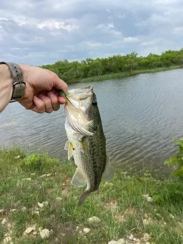 $1,599,000 | 1861 Fm 1974, South Bend, TX 76481