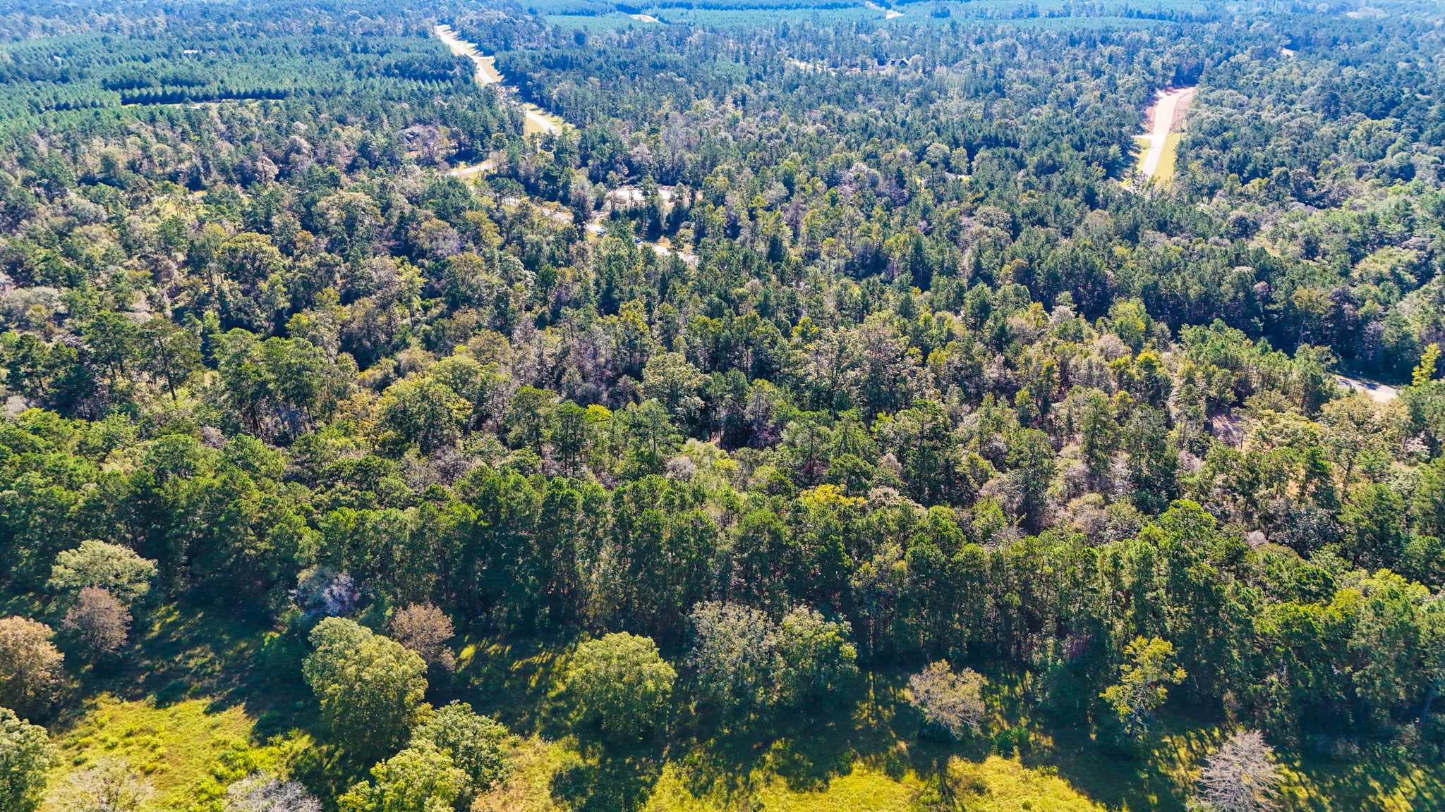 15821 Ridge Rock Road Willis, TX 77378 - Photo 7 of 21 In this aerial photo showcases the, lushly forested area with mature trees, offering a sense of seclusion and natural beauty.