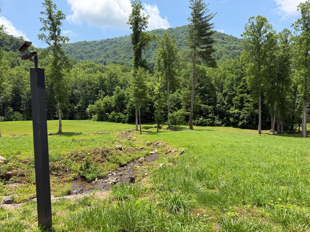 1446 Muskrat Creek Road Hayesville, NC 28904 - Photo 100 of 108