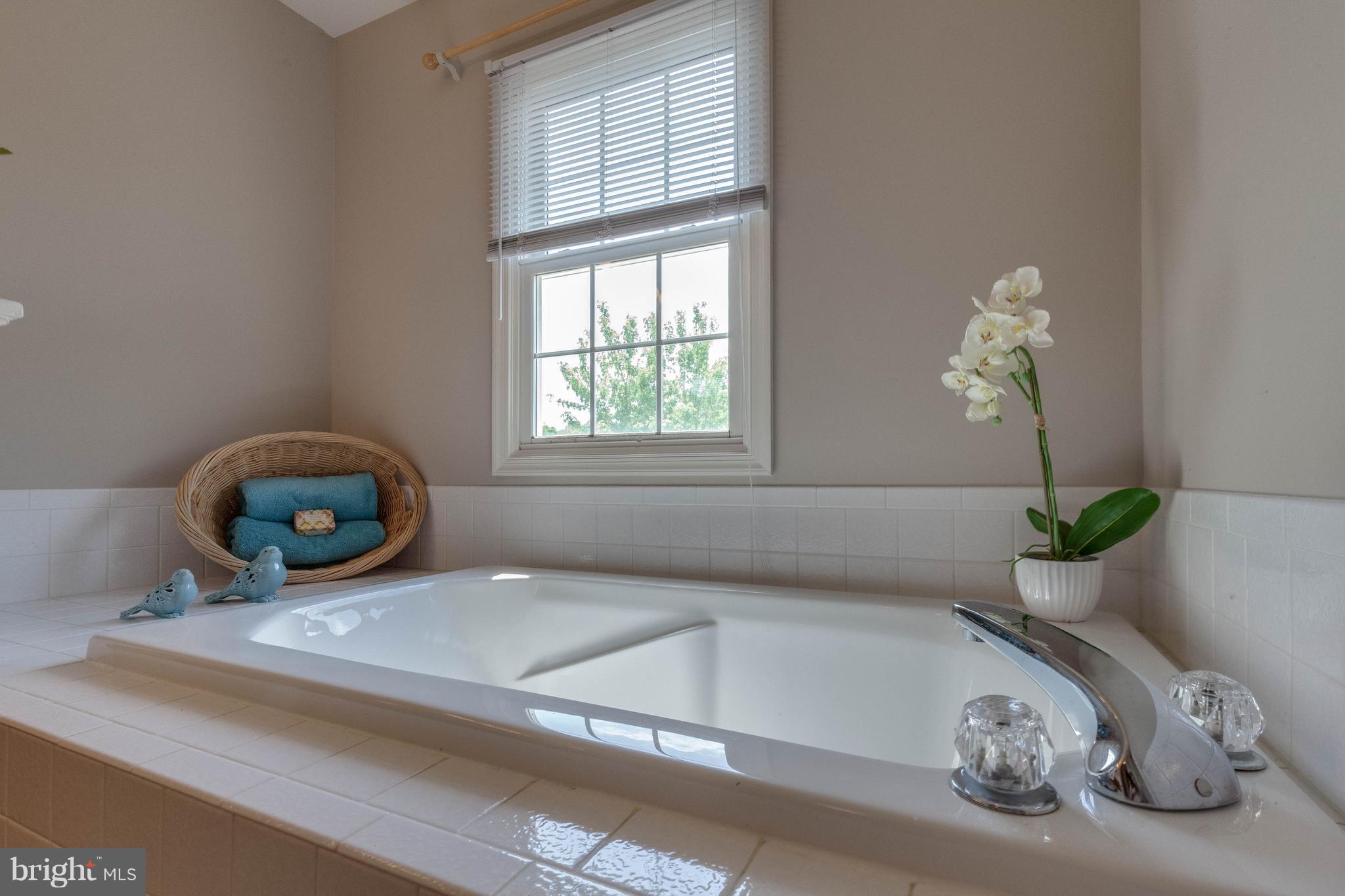 1746 Canal Run Drive Point of Rocks, MD 21777 - Photo 21 of 30 a bathroom with a sink and a bathtub