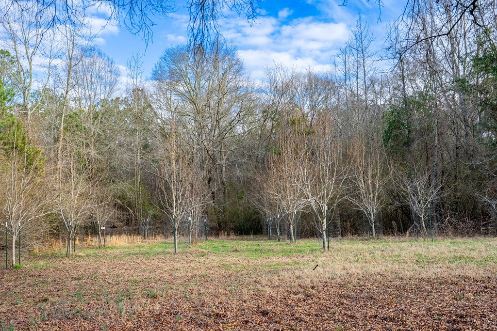 229 Trammel Road Pine Mountain, GA 31822 - Photo 56 of 86 Gallery Image 56