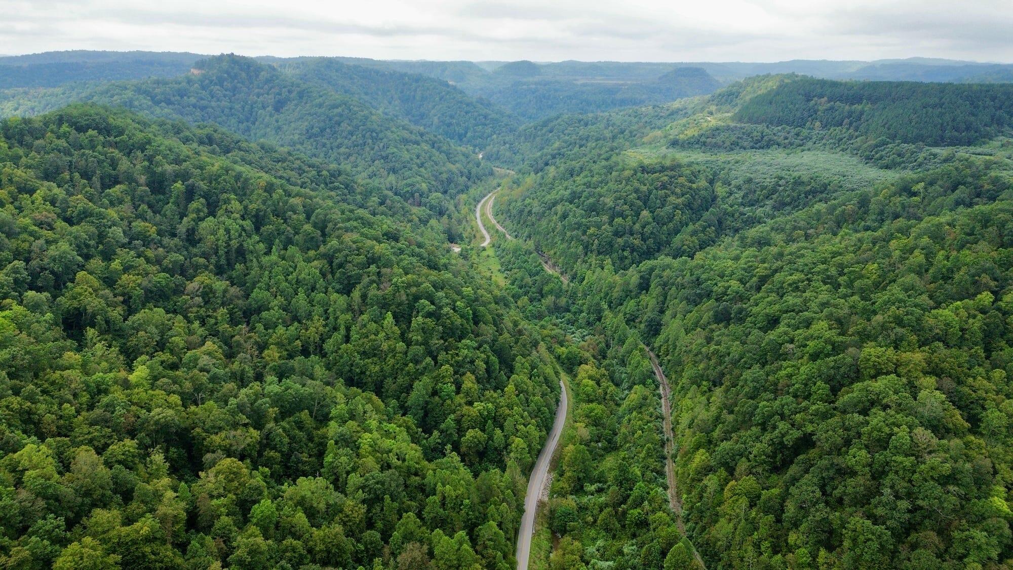 9074 Wolf Creek Road Pilgrim, KY 41250 - Photo 118 of 133 Aerial of Property