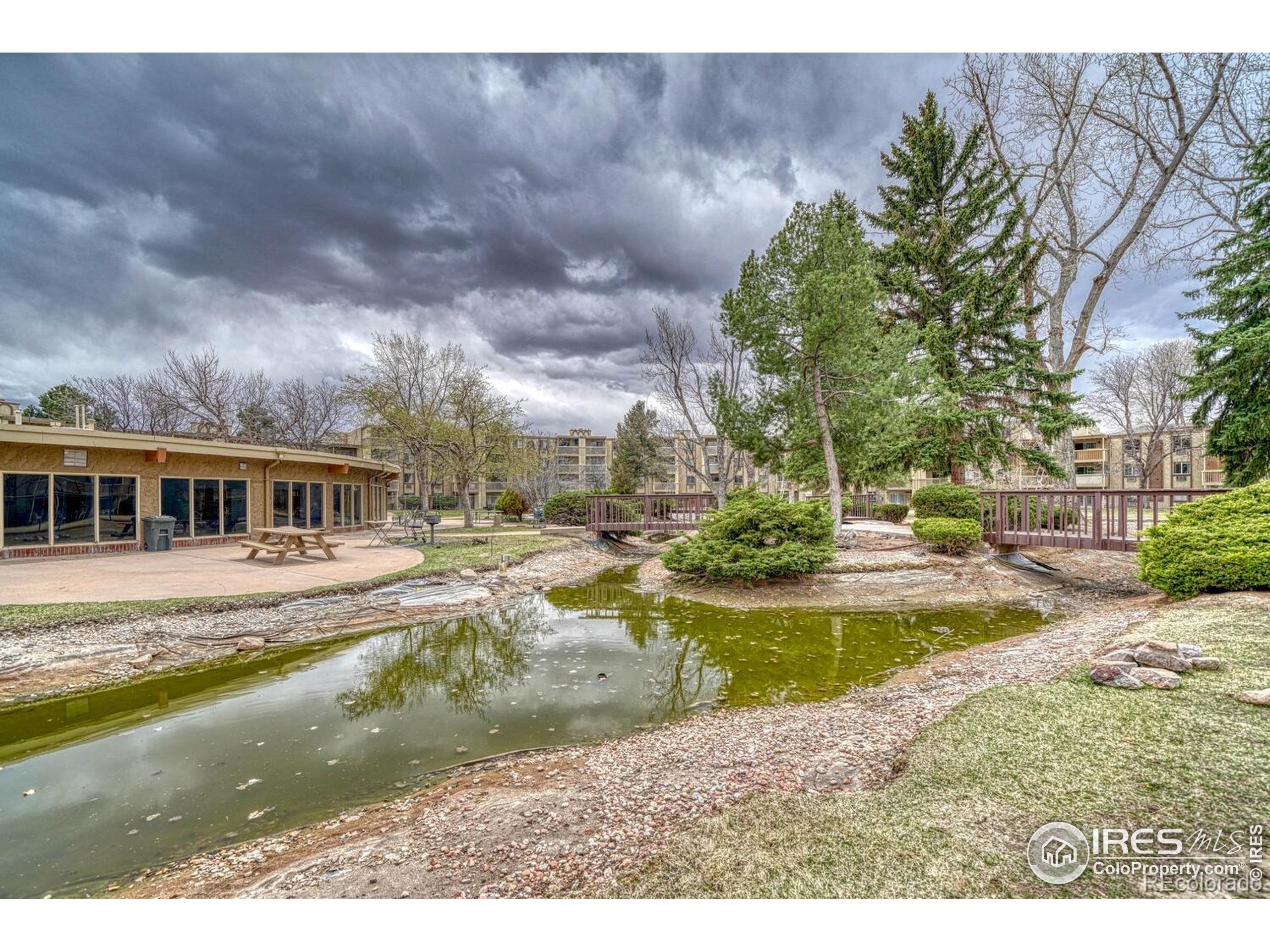 1302 South Parker Road, Unit 127 Denver, CO 80231 - Photo 3 of 6 a view of swimming pool with lawn chairs and large trees