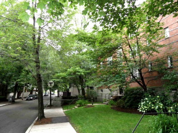128 Beaconsfield Road, Unit 5 Brookline, MA 02445 - Photo 1 of 18 a view of park with trees
