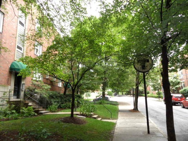 128 Beaconsfield Road, Unit 5 Brookline, MA 02445 - Photo 18 of 18 a view of a park with large trees