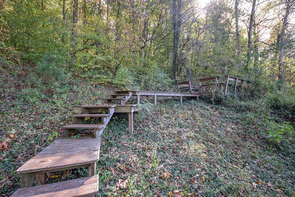 225 County Road 67 Riceville, TN 37370 - Photo 34 of 57 Gallery Image 34