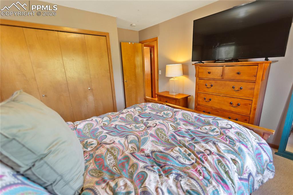 566 Spring Valley Drive Divide, CO 80814 - Photo 14 of 30 a bedroom with a bed and flat screen tv