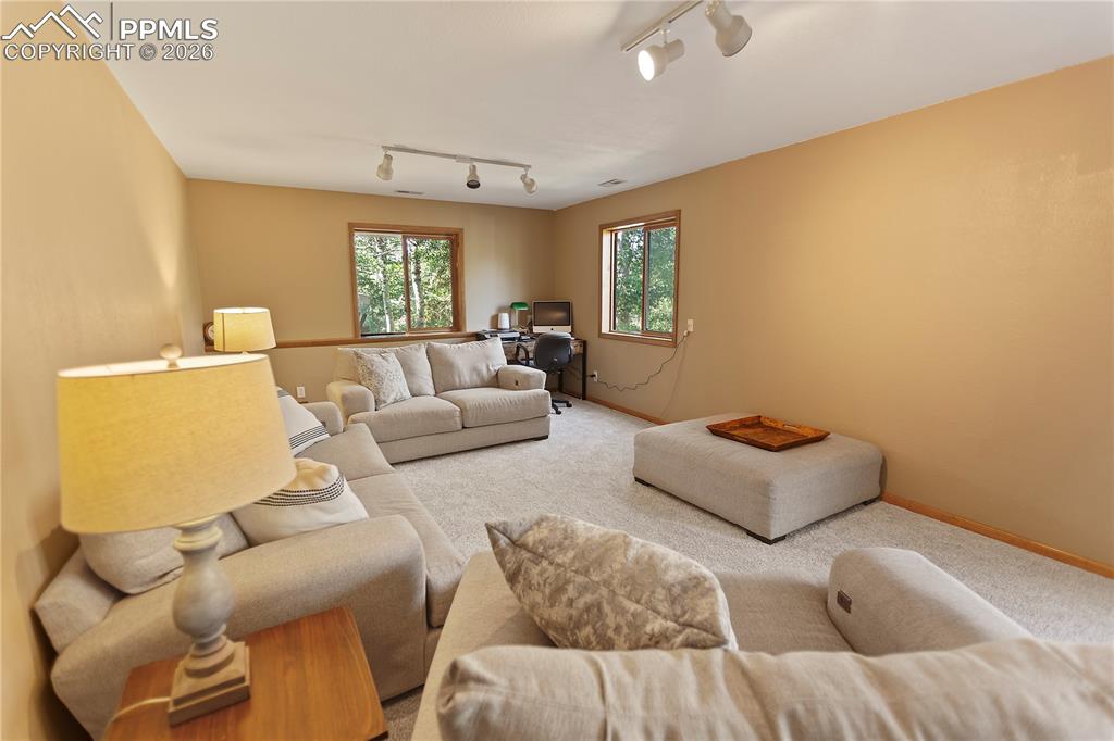 566 Spring Valley Drive Divide, CO 80814 - Photo 19 of 30 a living room with furniture and a window