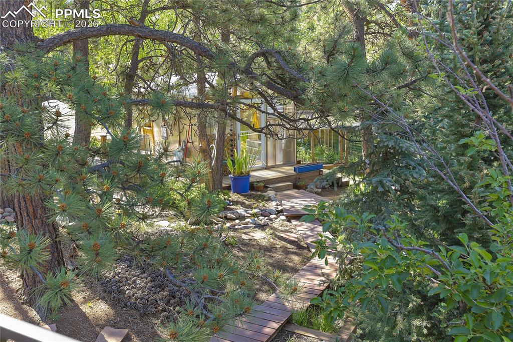 566 Spring Valley Drive Divide, CO 80814 - Photo 2 of 30 a backyard of a house with lots of green space and trees