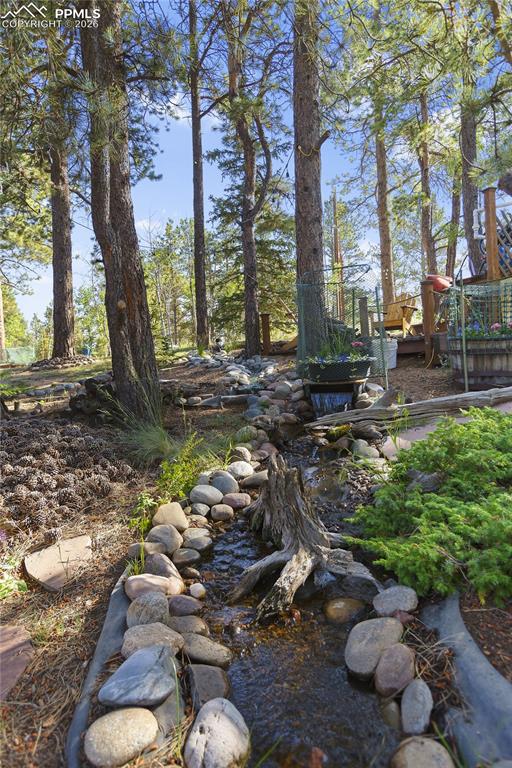 566 Spring Valley Drive Divide, CO 80814 - Photo 28 of 30 a backyard of a house with lots of green space