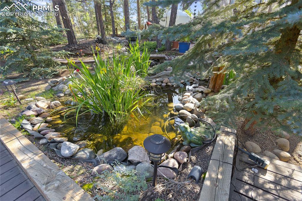 566 Spring Valley Drive Divide, CO 80814 - Photo 29 of 30 a view of a tree with some plants