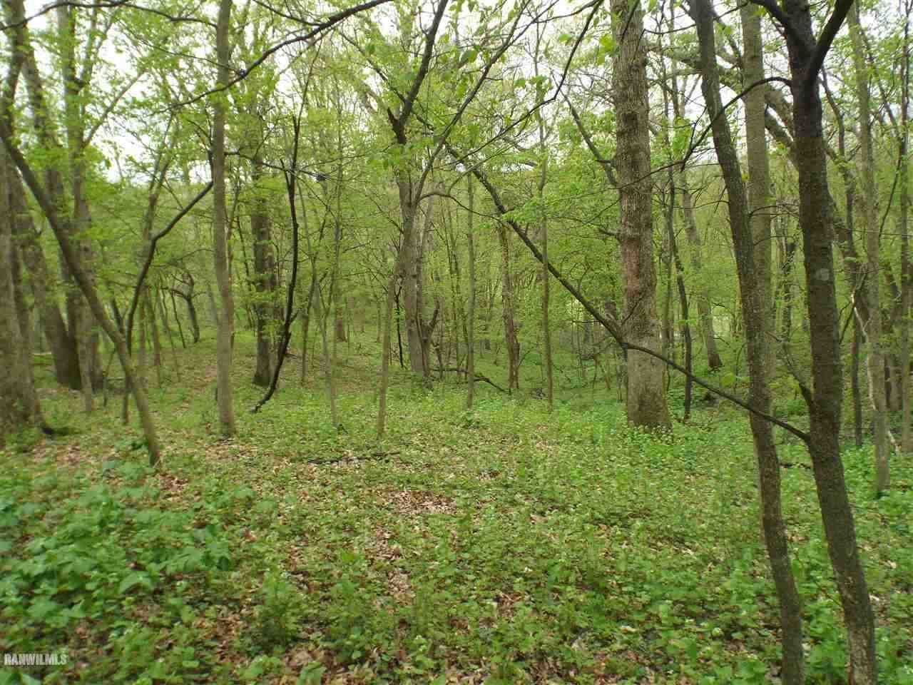 West Sand Hill Road Galena, IL 61036 - Photo 1 of 1 Gallery Image 1