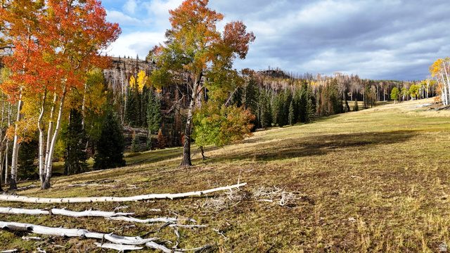123 Tbd Monroe Canyon Road Monroe, UT 84754 - Photo 82 of 92 Expansive natural landscape with varied topography, featuring mature trees showcasing autumn foliage