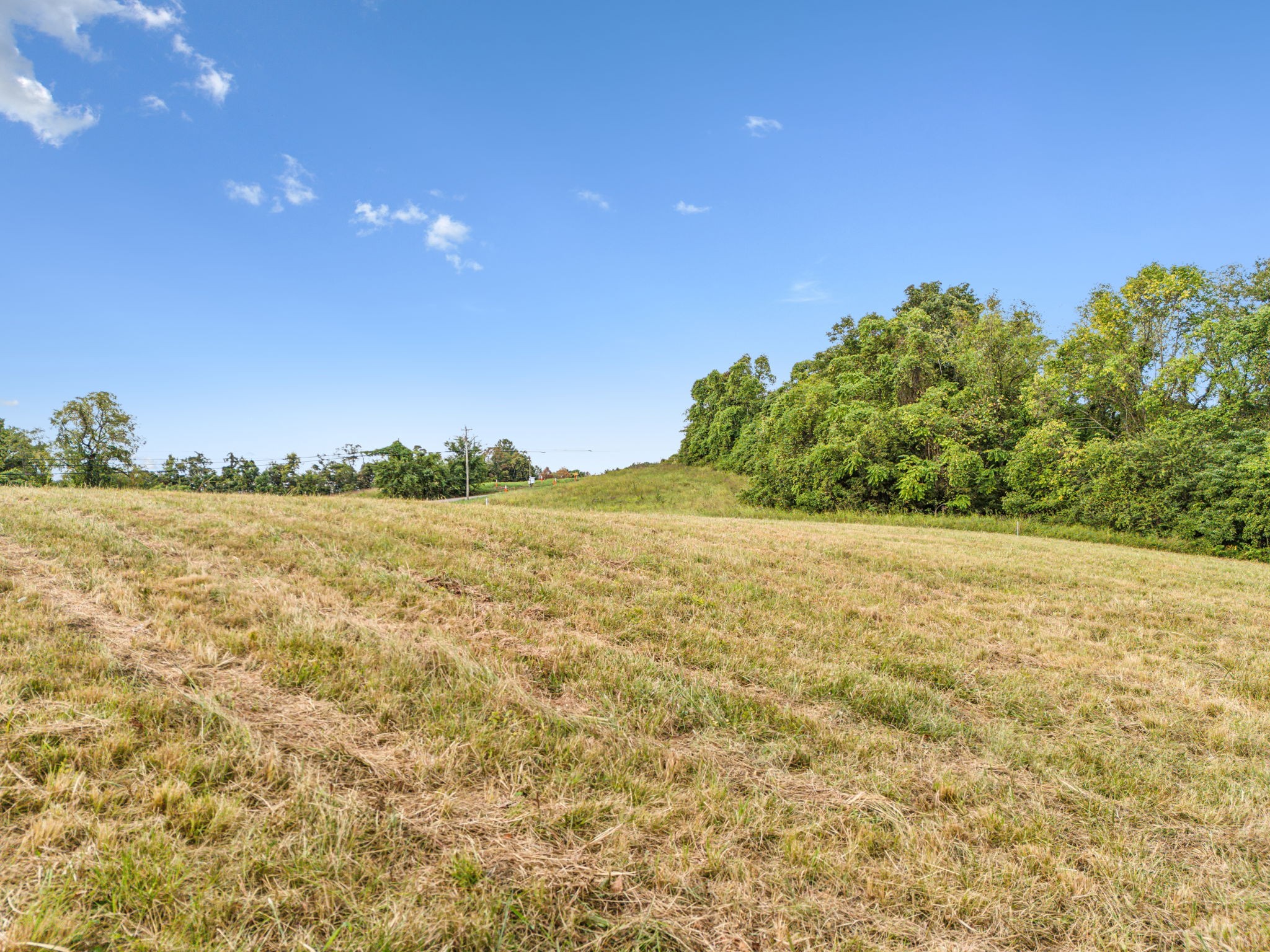 6600 Franklin Road Lebanon, TN 37090 - Photo 15 of 19 a view of yard with ocean view