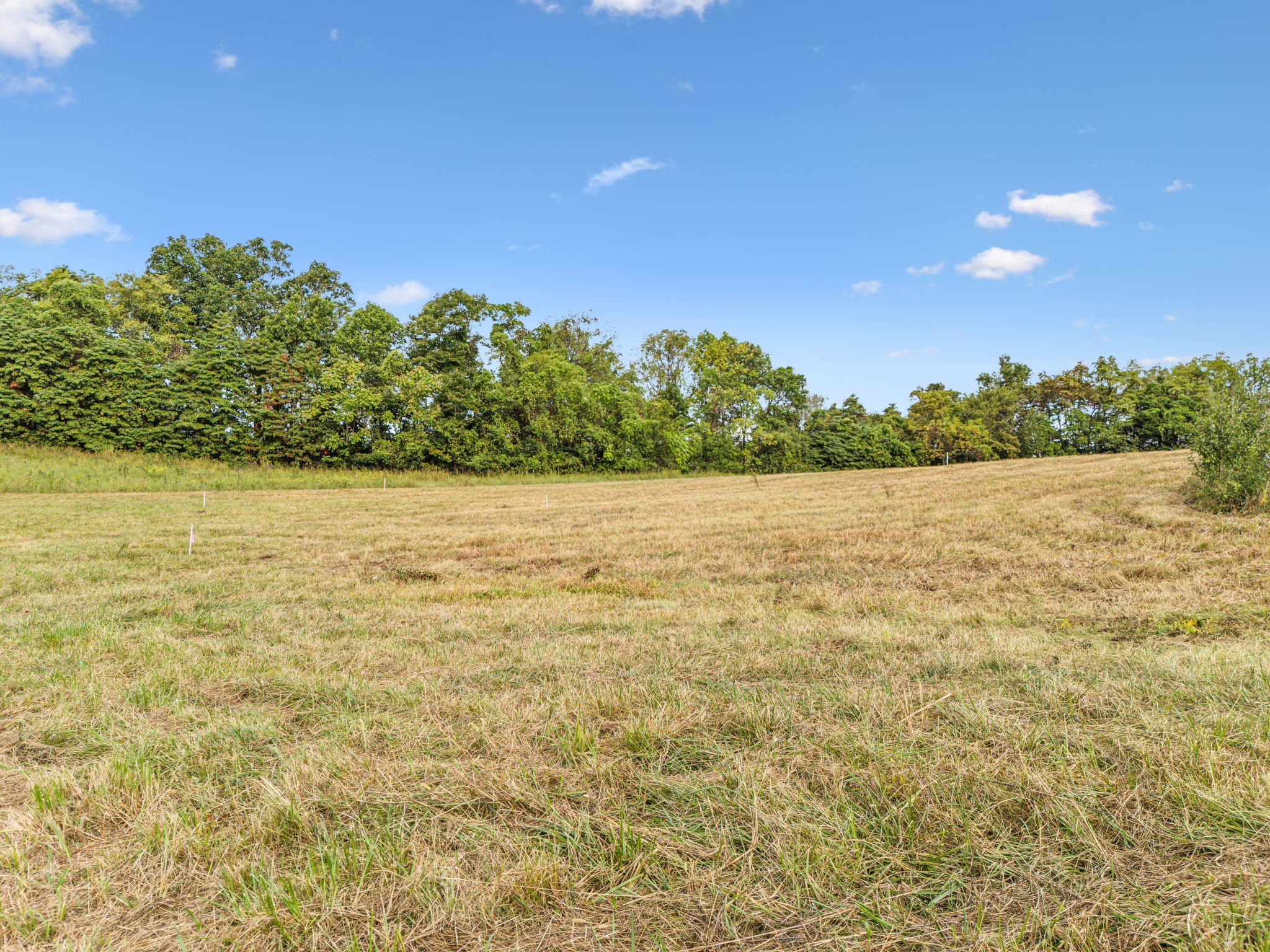 6600 Franklin Road Lebanon, TN 37090 - Photo 2 of 19 a view of a lake view