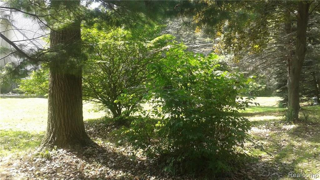 40170 Willis Road Belleville, MI 48111 - Photo 8 of 64