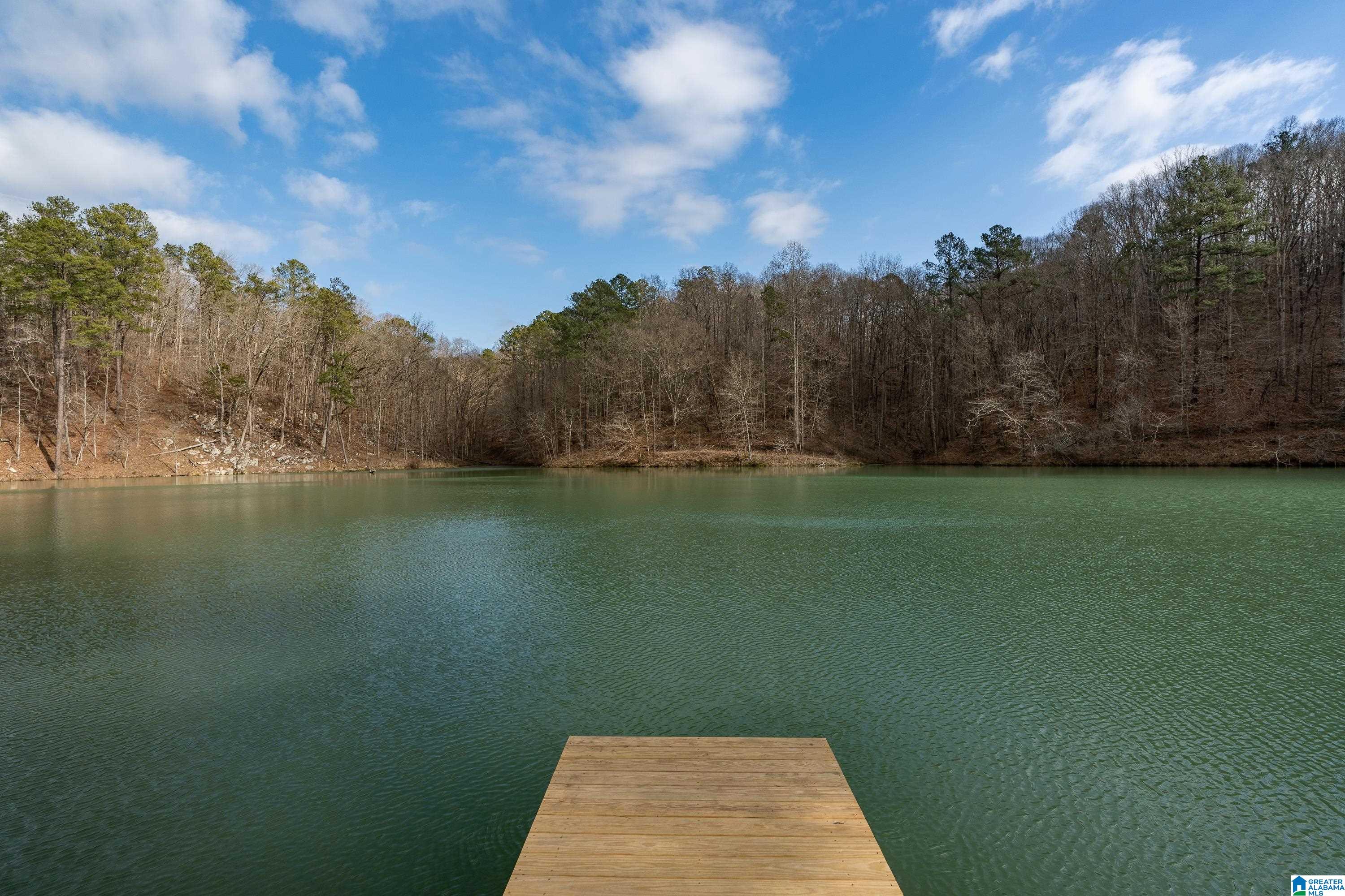 315 Ridge Drive Hayden, AL 35079 - Photo 37 of 44