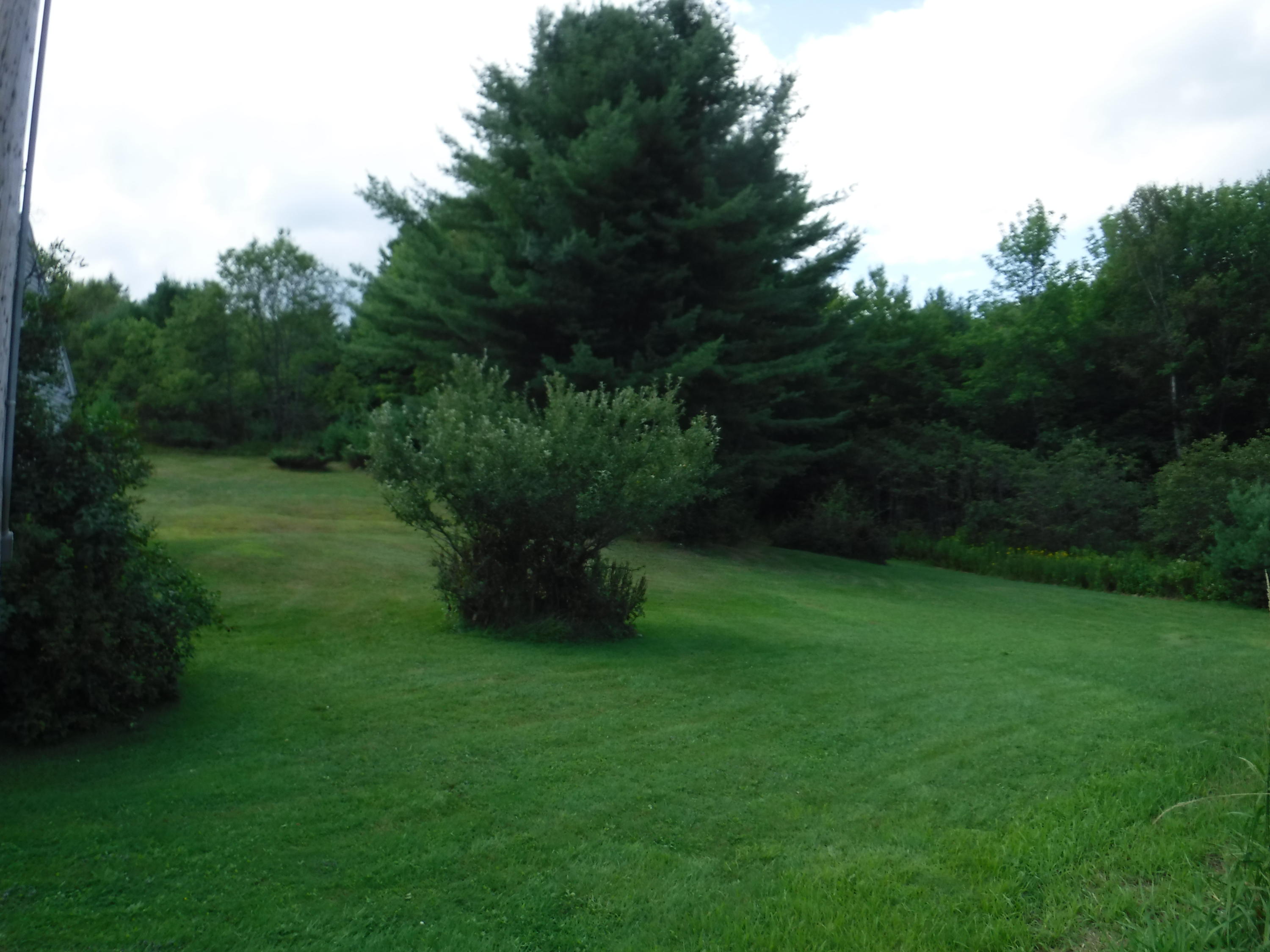 501 Dickvale Road Peru, ME 04290 - Photo 20 of 22 20 Lot