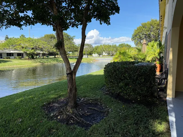 a view of a garden with a tree