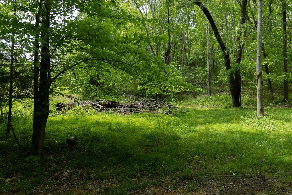 0 Billy Wynn Road Dickson, TN 37055 - Photo 35 of 44