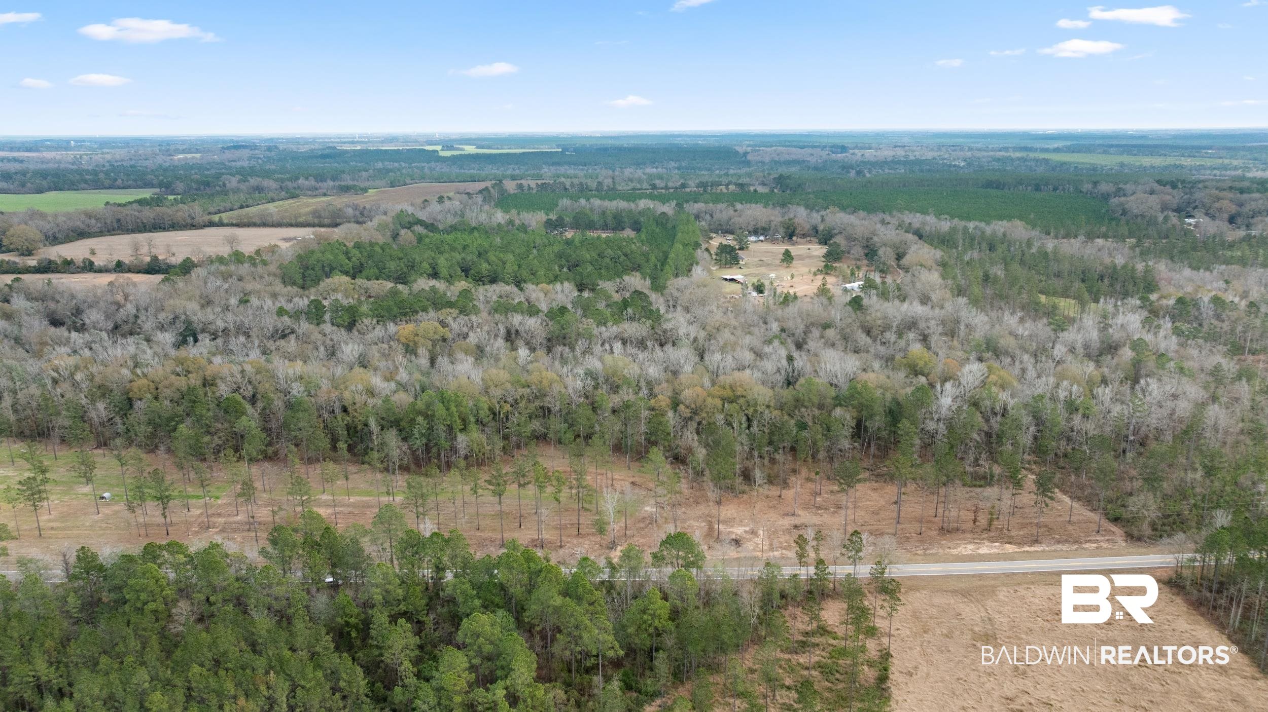 0 Lottie Road Atmore, AL 36502 - Photo 7 of 17 Aerial overview of property's location featuring a heavily wooded area