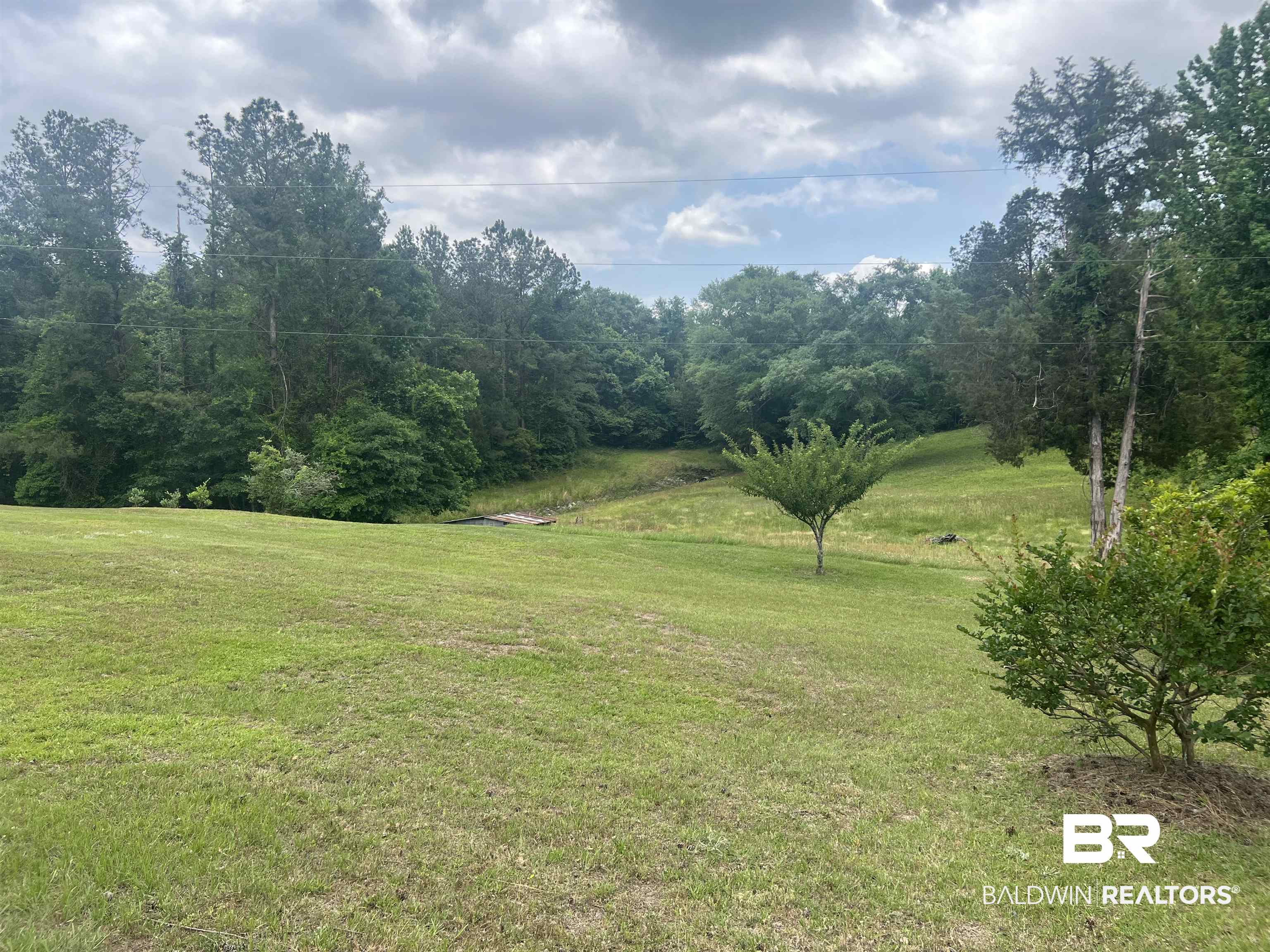 1823 Experiment Farm Road Monroeville, AL 36460 - Photo 34 of 46