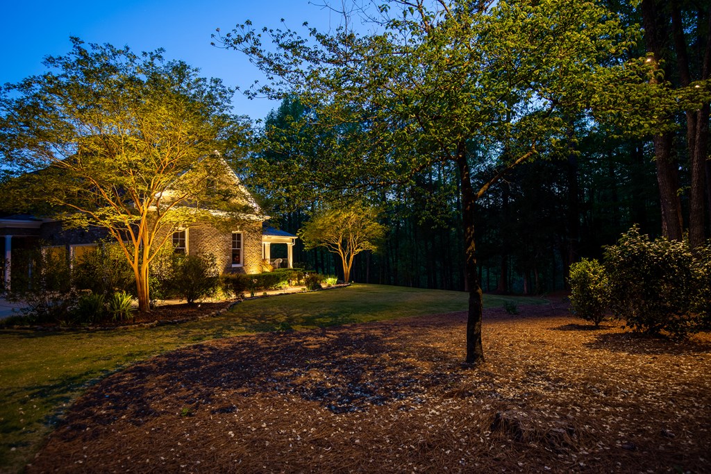 178 Rolling Farm Way Midland, GA 31820 - Photo 4 of 65