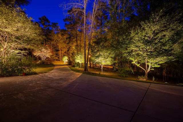 a view of a park with lots of trees