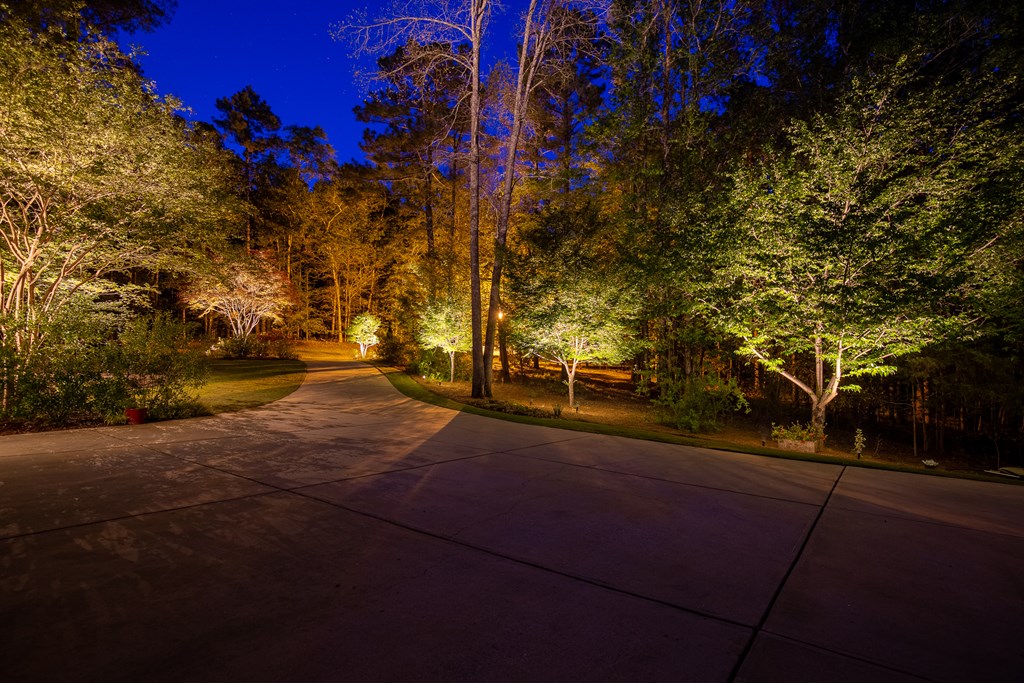 178 Rolling Farm Way Midland, GA 31820 - Photo 5 of 65