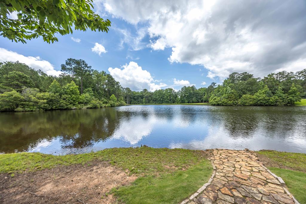 178 Rolling Farm Way Midland, GA 31820 - Photo 61 of 65 a view of a lake